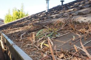 The gutter and roof is full of debris in home at Woodinville, WA