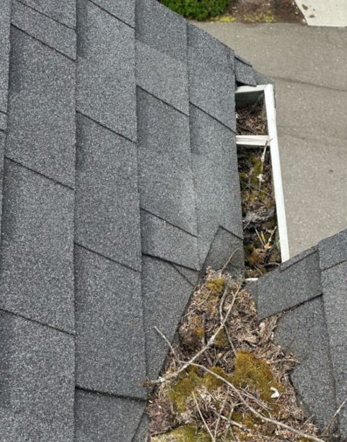 The roof of a house and gutters before it is cleaned by High Point Gutter in in Woodinville, WA.