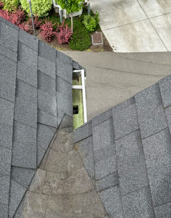 The roof of a house and gutters after it is cleaned by High Point Gutter in in Woodinville, WA.