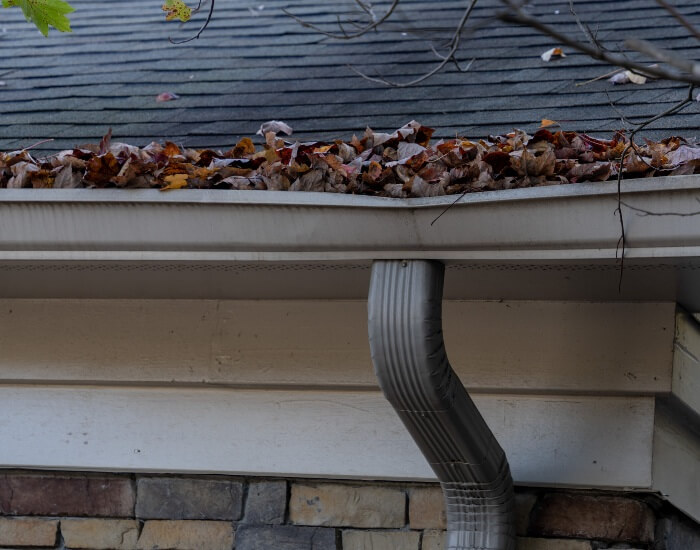 Gutters needing cleaning in Snohomish or King County