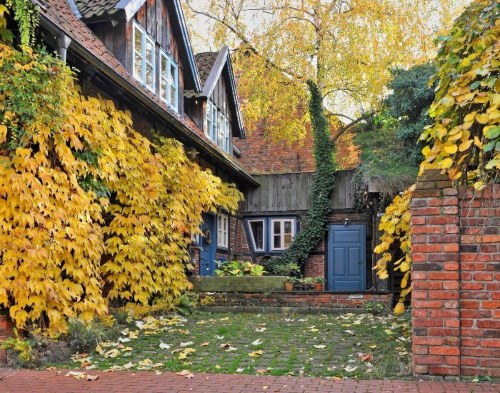 Brick house with dry leaves at the garden at Woodinville, WA