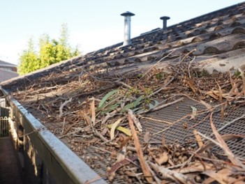 Prevent wildfires by cleaning your gutters in Seattle, WA
