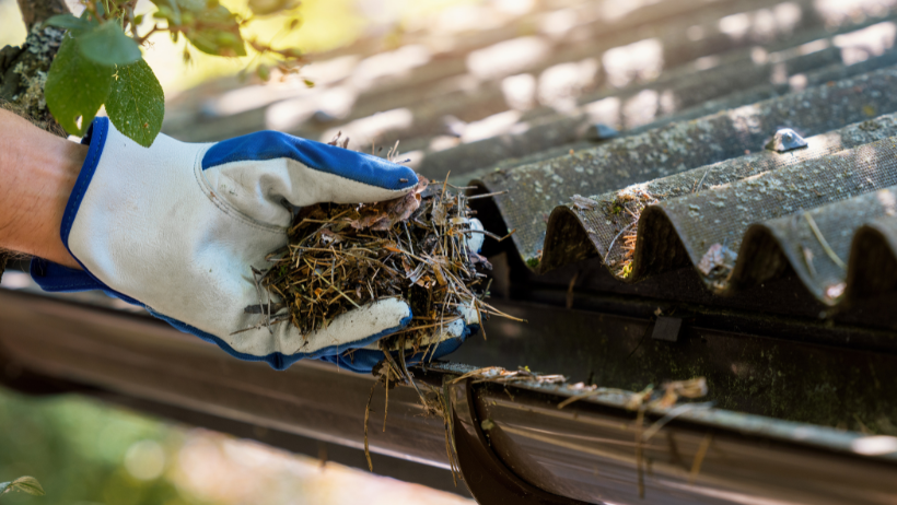 Gutter, Roof & Skylight Cleaning