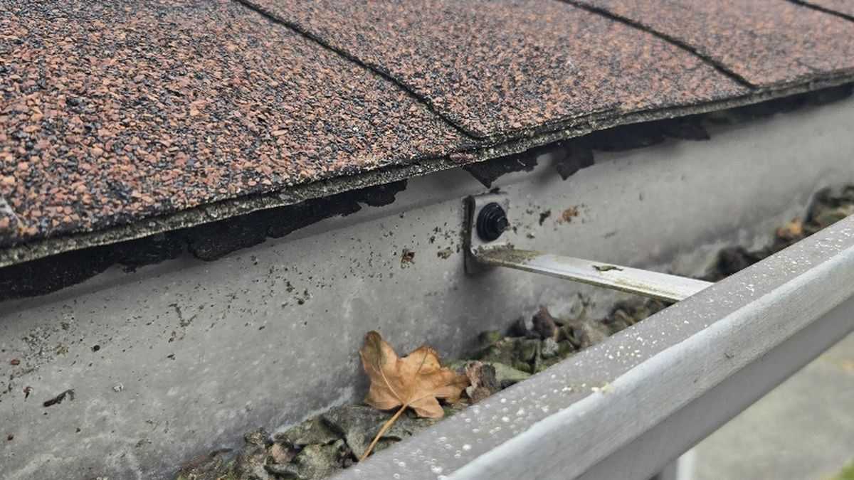 Old spike hanger pulled loose inside a stained, debris-filled gutter on an Everett home