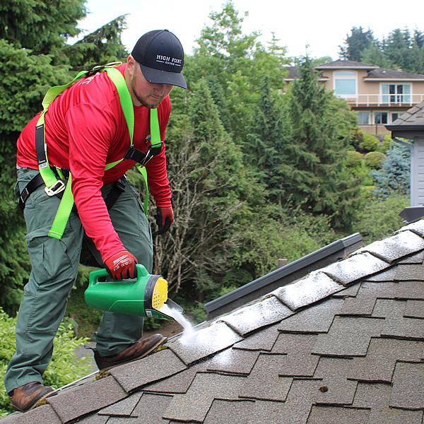 Gutter and roof cleaning in Preston, WA